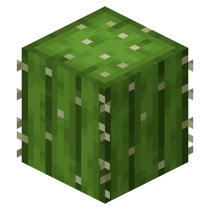 Cactus block